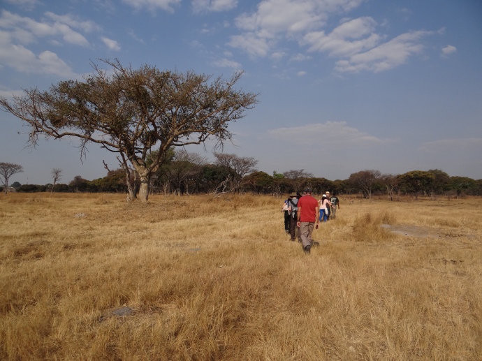 Walking on the wild side in Mukuvisi Woodlands, Harare, Zimbabwe